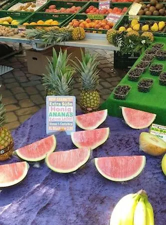 Apartament Exklusive 3-zimmer-wohnung, 2 Ebenen, Messe, Zentrum, 67 M2 *